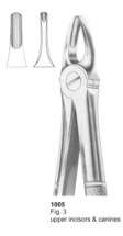  Fig. 3 upper incisors & canines 